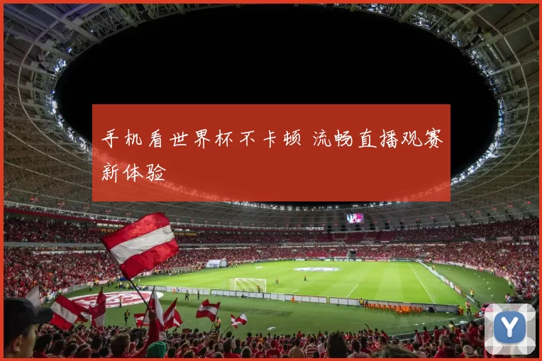 手机看世界杯不卡顿 流畅直播观赛新体验