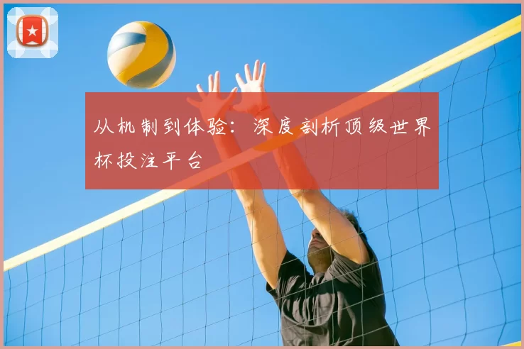 从机制到体验：深度剖析顶级世界杯投注平台