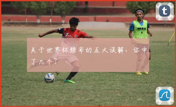 关于世界杯频率的五大误解，你中了几个？
