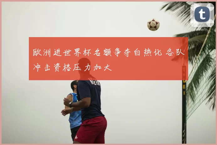 欧洲进世界杯名额争夺白热化 各队冲击资格压力加大