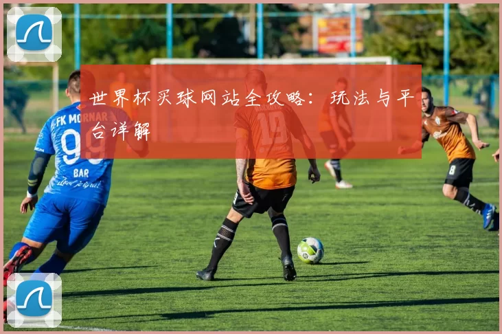 世界杯买球网站全攻略：玩法与平台详解
