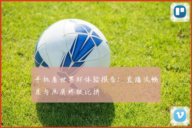 手机看世界杯体验报告:直播流畅度与画质终极比拼