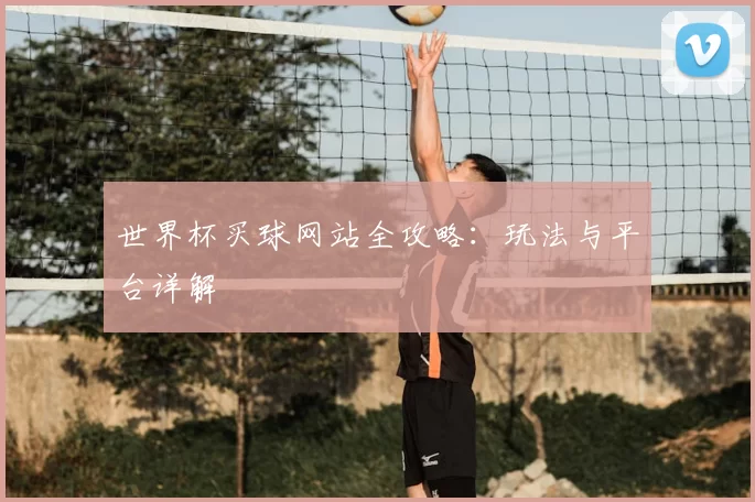 世界杯买球网站全攻略:玩法与平台详解
