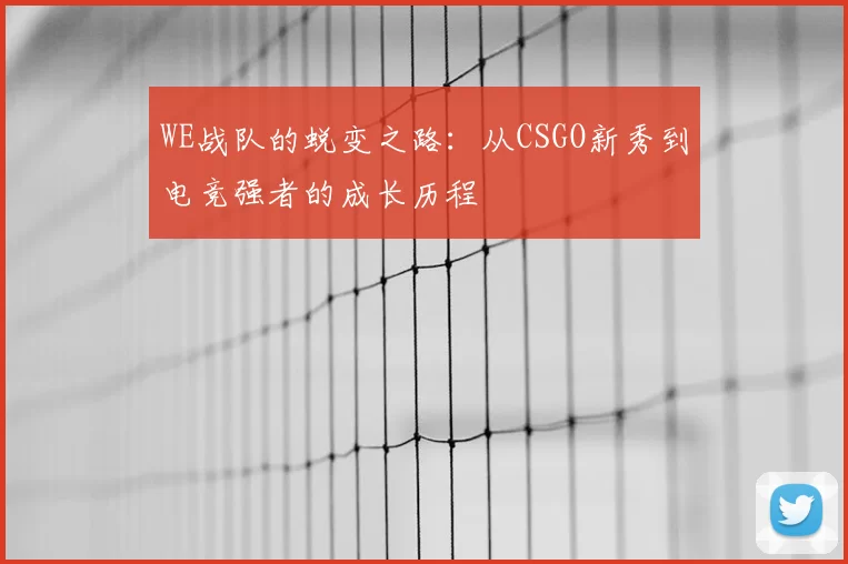 WE战队的蜕变之路：从CSGO新秀到电竞强者的成长历程