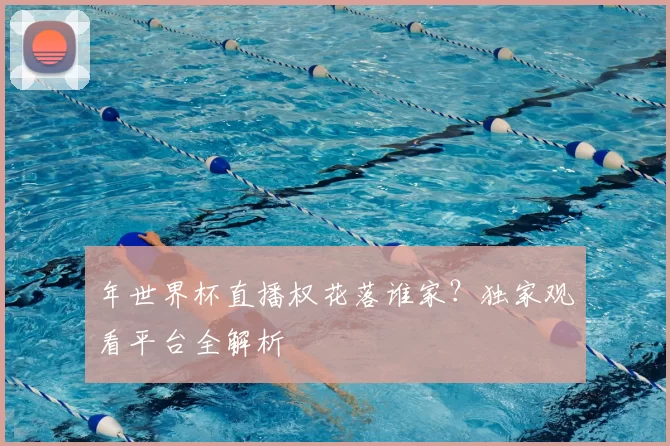 年世界杯直播权花落谁家？独家观看平台全解析